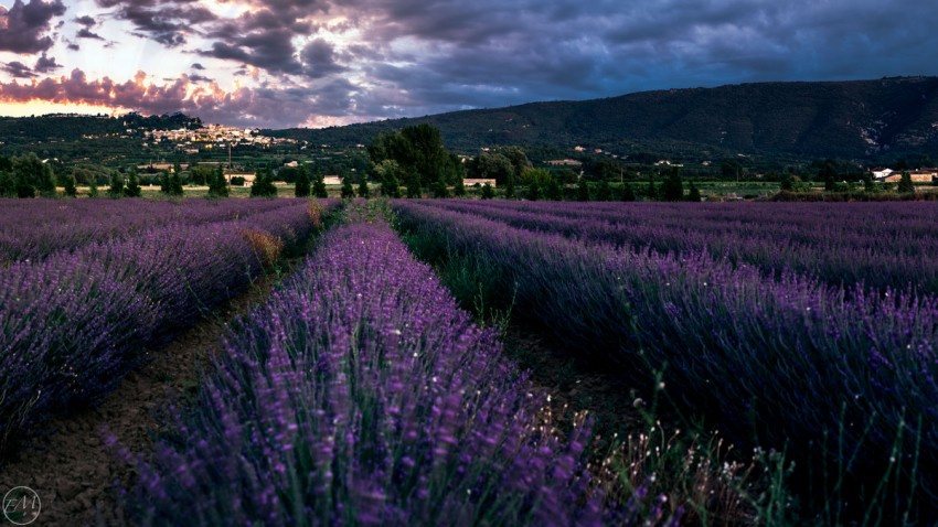 Provence-2